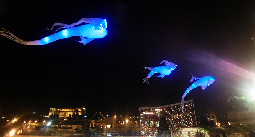 Description: Macintosh HD:Users:jbfisher 1:Desktop:summer2013travel:israel:small:nightlights_flyingfish.jpg